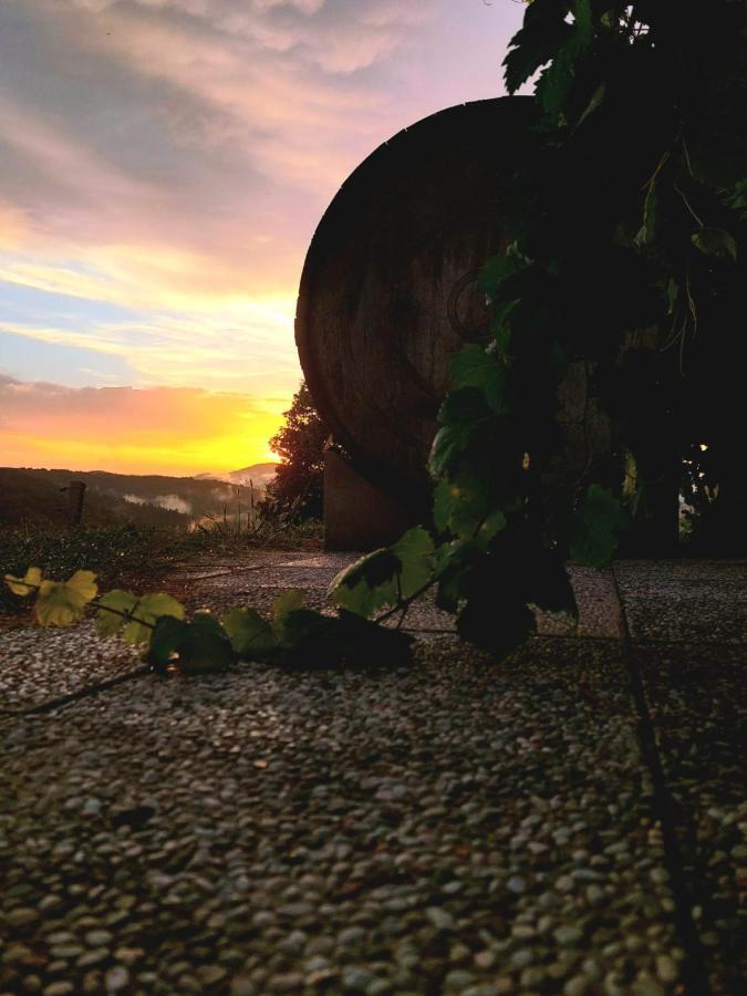 Zerko Holiday Home - Vineyard Chalet With Sauna And Jacuzzi Free Mirna Buitenkant foto