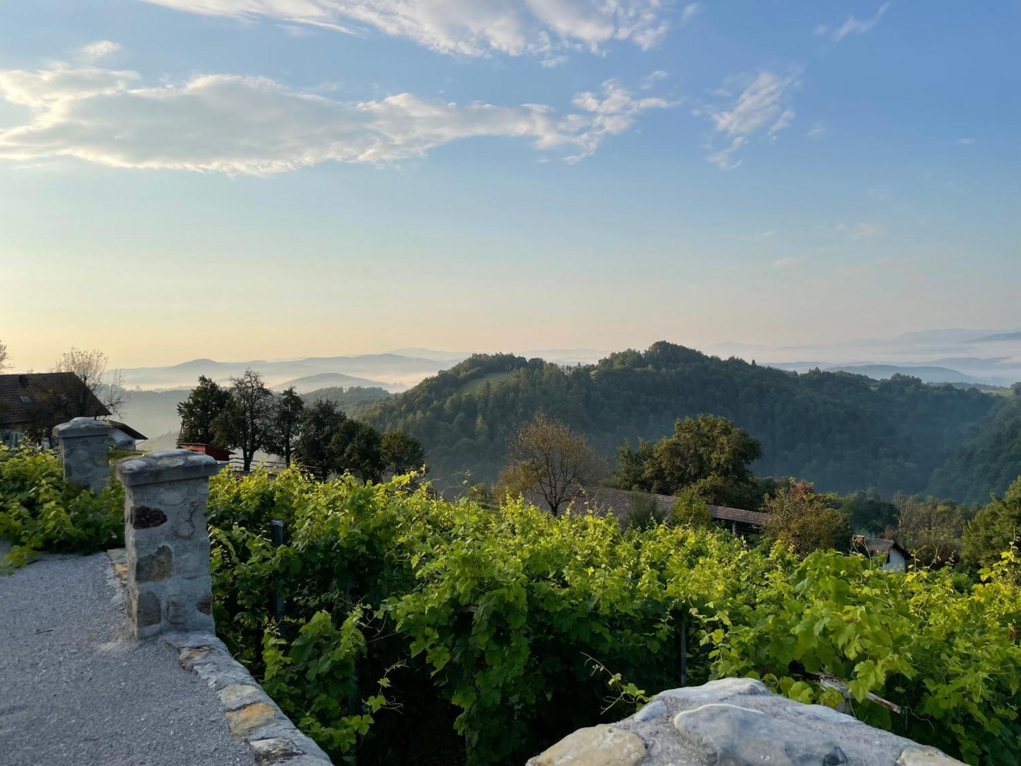 Zerko Holiday Home - Vineyard Chalet With Sauna And Jacuzzi Free Mirna Buitenkant foto